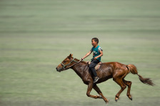 Cultura equestre do sul